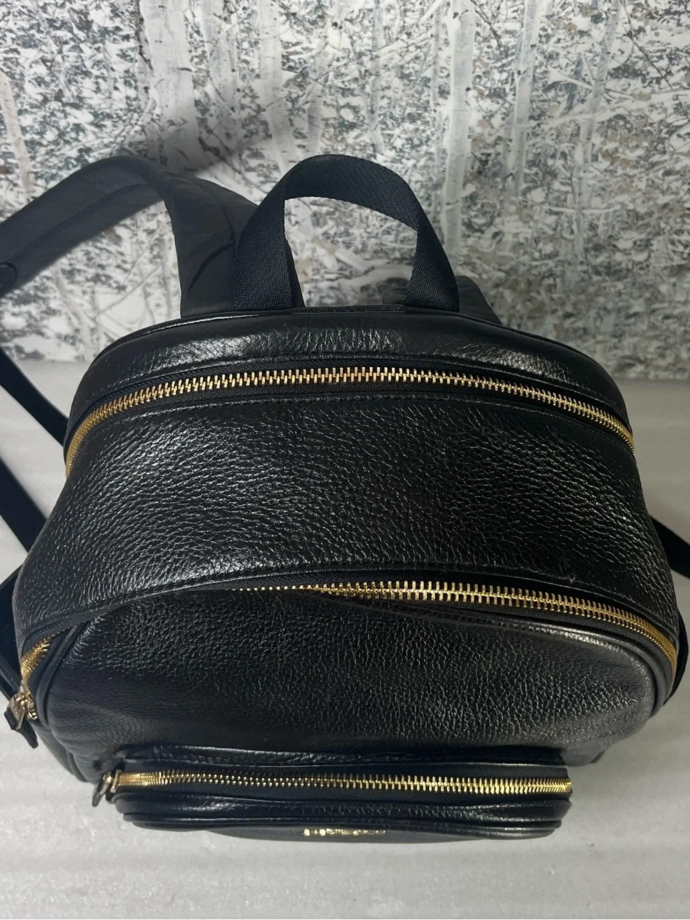 Coach Court Backpack Pebbled Leather (Style No.5666)